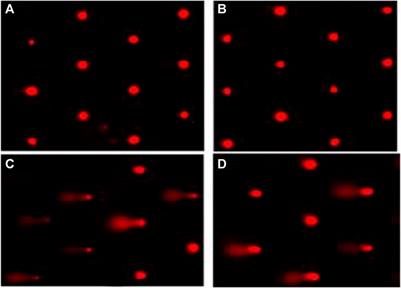 Ocimum basilicum Essential Oil Modulates Hematotoxicity, Oxidative Stress, DNA Damage, and Cell Cycle Arrest Induced by β-cyfluthrin in Rat Liver